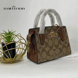 Coach Andrea Mini Carryall – Chalk