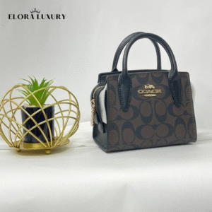 Coach Andrea Mini Carryall – Chalk